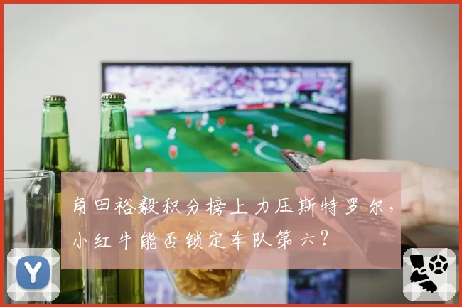 角田裕毅积分榜上力压斯特罗尔，小红牛能否锁定车队第六？