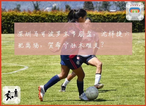 深圳马可波罗末节崩盘，沈梓捷六犯离场，贺希宁独木难支？